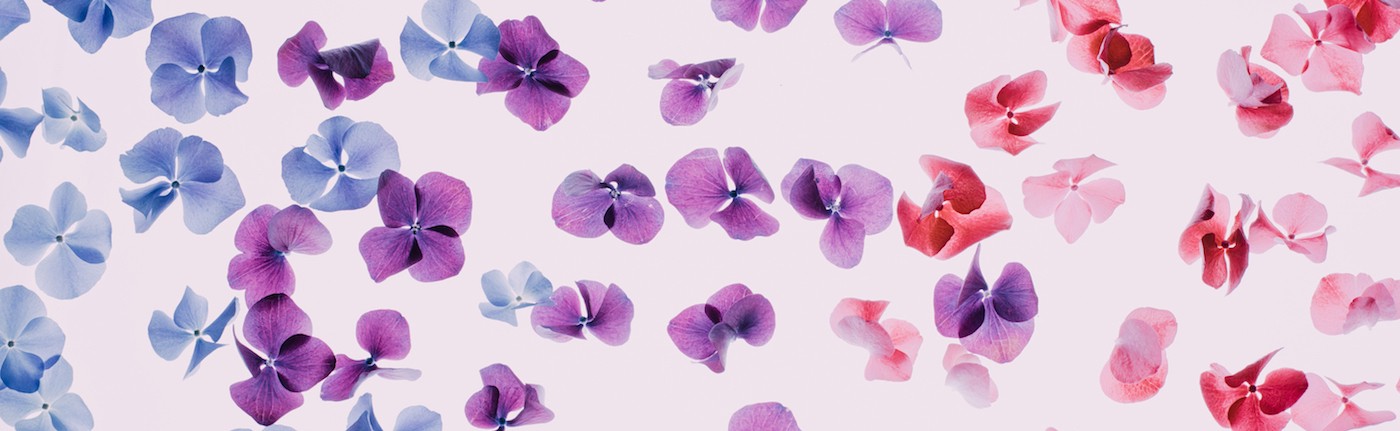 Take care of the developer happiness and the rest will follow thumbnail